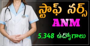 Read more about the article Staff Nurse Jobs 5348 Vacancies : Medical,DME 2024 జూన్ నెలలో వైద్య ఆరోగ్య శాఖ లో స్టాఫ్ నర్స్ , మెడికల్ ఉద్యోగాల భర్తీ Apply Now.