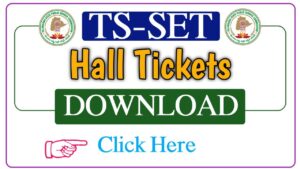 Read more about the article TS-SET 2024 Admit cards Pdf : Download now today !