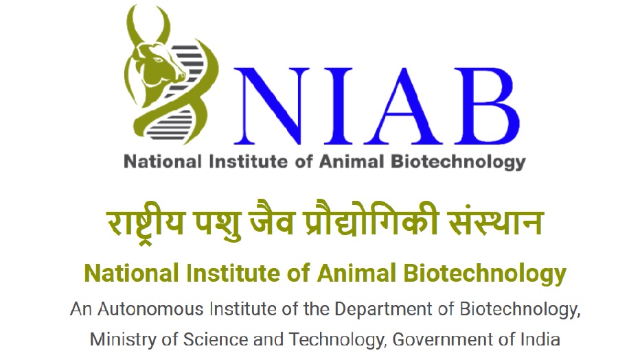 NIAB Assistant Jobs 2024 